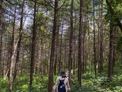 -白草畔自然风景区