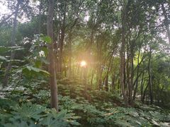 -西安市长乐公园