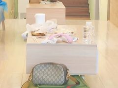 -猫十亿·布偶金渐层·曼基康矮脚猫舍(青年路店)