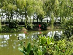 山外有山，塘外有泾-浦江之首