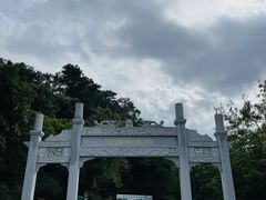 -羚羊峡古栈道森林公园