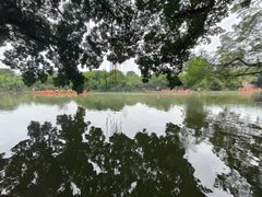 -小洲村