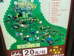 -合肥野生动物园