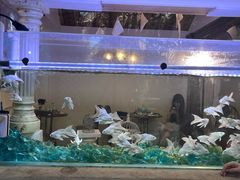 -Lamant Manor已闻花名關於藍