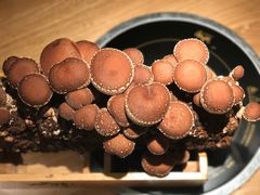 -大头椰·椰子鸡火锅(南宁万象城店)