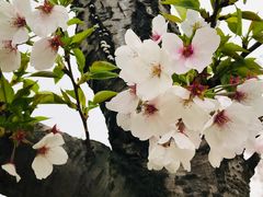 -同济大学(嘉定校区)