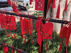 -福建鲤鱼洲酒店