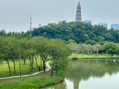 -顺峰山公园