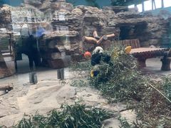 -石家庄市动物园