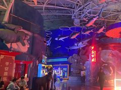 -烟台海昌鲸鲨海洋公园