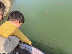 -苏州太湖国家湿地公园