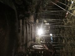 -江南天池高山汤泉城