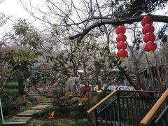 -雨花胜境