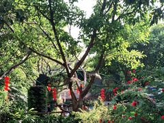 -广州长隆飞鸟乐园