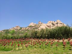 -嵖岈山风景区