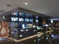-武商摩尔影城(国广IMAX激光店)