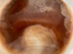 -隹木咖啡馆(宝龙广场店)