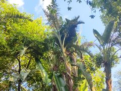 -海兰云天度假区温泉