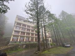 -大围山国家森林公园