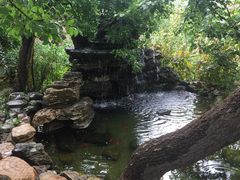 -老村长农家院