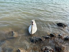 -北龙湖湿地公园