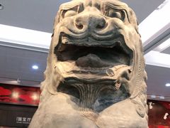 -陕西自然博物馆