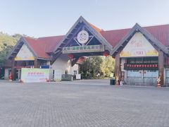 -上海海湾国家森林公园