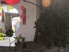 -古今茶语·峨眉山有机茶体验馆