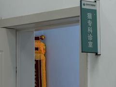 -派美特宠物医院·核磁CT·骨科肿瘤·疑难转诊(沈农禾丰店)