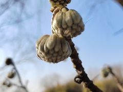 -梁鸿国家湿地公园