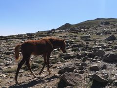 -灵山