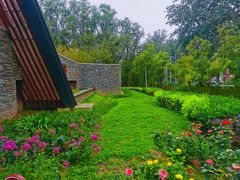 -东郊湿地公园