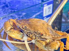 -友强·23年特色海鲜大排档(厦门店)
