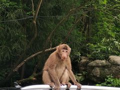 -西岭雪山大飞水景区