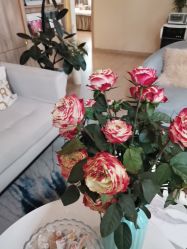 -百秀名媛纹绣美学护肤中心