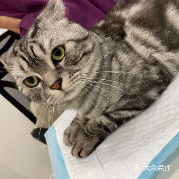 现在基本上认定这家宠物医院啦，医院的医生都很好