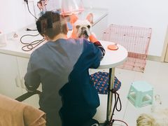 -佑安动物医院·全科·内窥镜中心(幸福巷店)