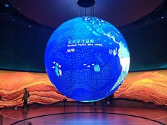 -上海科技馆(地铁站)