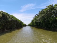 -大湾区中央湿地公园
