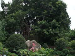 -乌山风景区