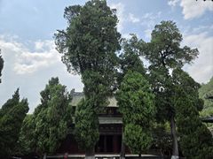 -报恩寺(平武县)