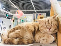 -小时光咖啡馆(开森度假森林店)