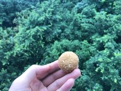 椒盐酥-闻酥园(大慈寺店)