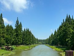 -黄海国家森林公园