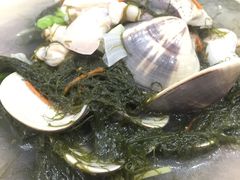 白贝浸海草-庭苑美食中心·陈皮烧鹅·海鲜(台山店)