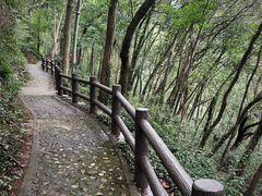 -上海佘山国家森林公园天马山园