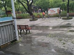 -文瀛公园