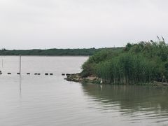 -滆湖低碳生态公园