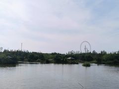 -日照海滨国家森林公园