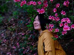 -木兰云雾山